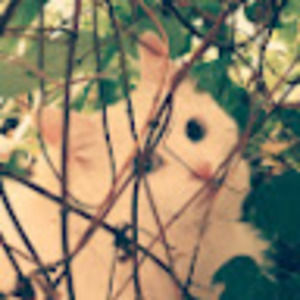 Meet your Posher, Melinda